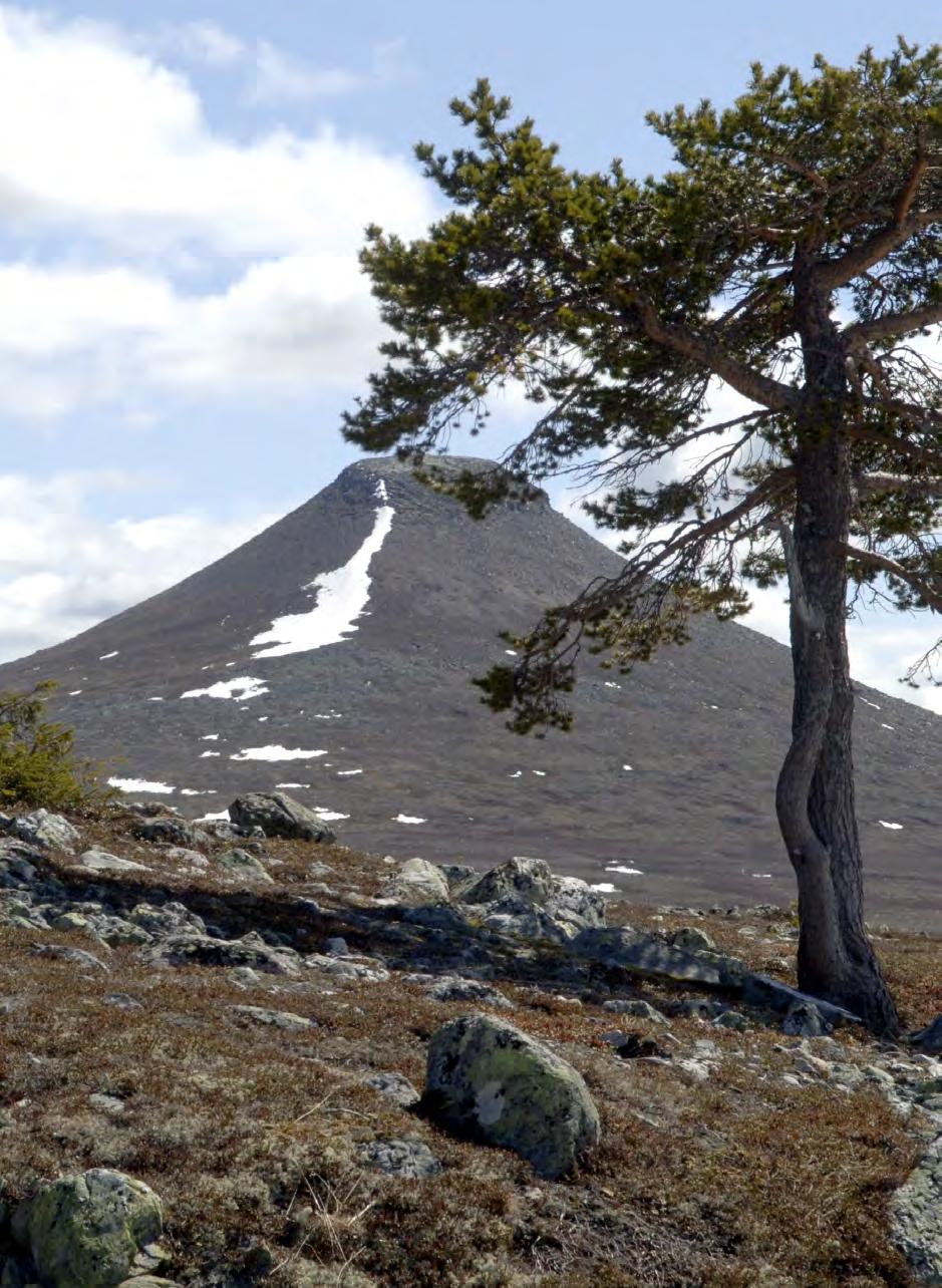 Älvdalens kommun