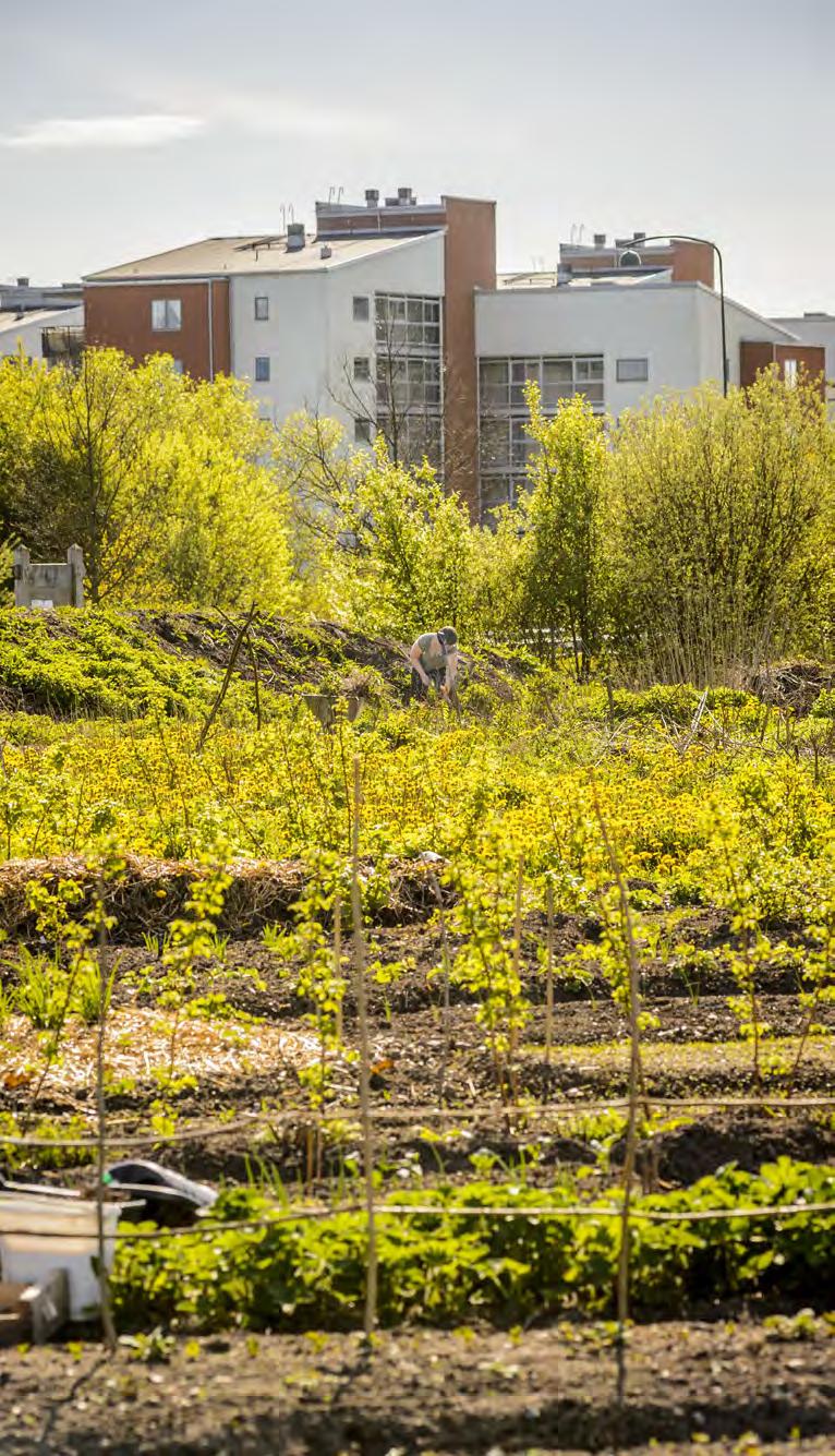 Flera målkonflikter Växa, förtäta utan att exploatera