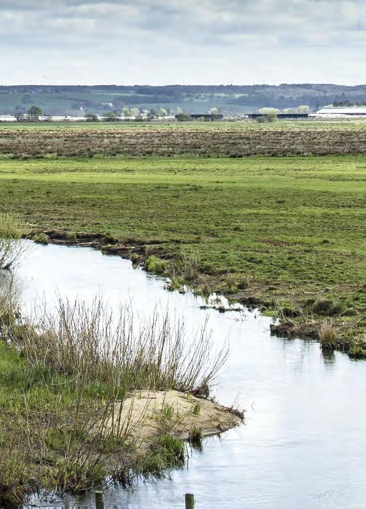 Vatten - Ytvatten - Grundvatten Delmål 8.1, 8.2 EU:s ramdirektiv för vatten Inte något ytvatten i Lunds kommun når upp till god ekologisk eller kemisk status.