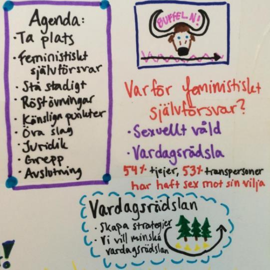 Totalt har vi haft åtta pass i feministiskt självförsvar under 2018.