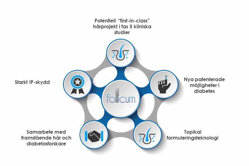 VERKSAMHETSBESKRIVNING Follicum i korthet Follicums forskning och utveckling fokuserar på stimulering av hårtillväxt samt diabetes.