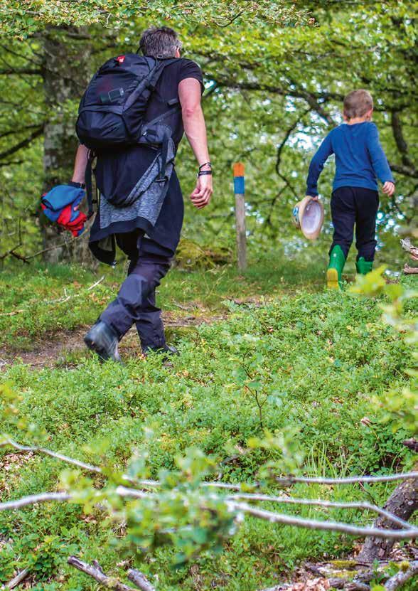 Vandringsleder Framtidsleden Framtidsleden ligger naturskönt intill de småländska skogarna runt samhällena Alstermo, Målerås och Älghult.