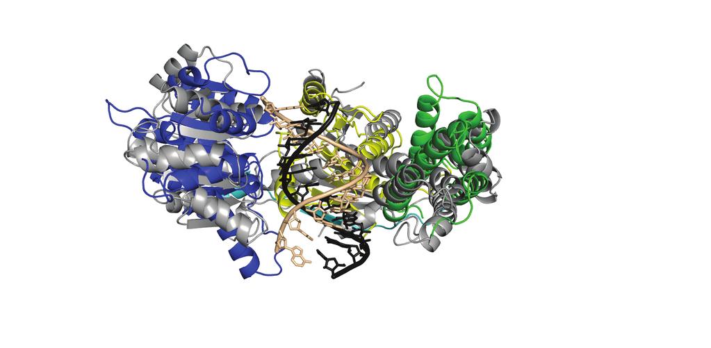 a b Domain 1 Domain 2 Domain 3 90 Domain 1 Domain 3 Domain 2 Supplementary Figure 4. Structural comparison of Hef helicase in the absence of nucleic acid and RIG-I helicase in the presence of dsrna.