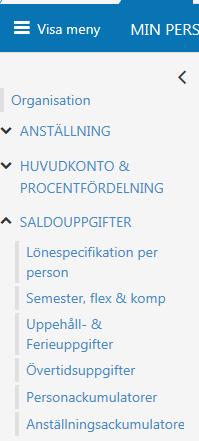 Saldouppgifter I menyn under Saldouppgifter finns det flikar där du kan hämta information om Semester,