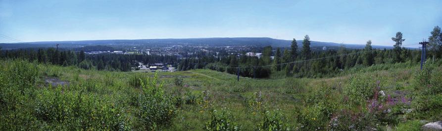 SJÖFART Sjöfarten till och från Skellefteå kommun är helt koncentrerad till handelshamnen i Skelleftehamn och industrihamnen vid Rönnskärsverken.