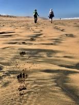 Söder om hamnen ligger den tre kilometer långa stranden, som gjord för långa sköna promenader i vattenbrynet, sanden är