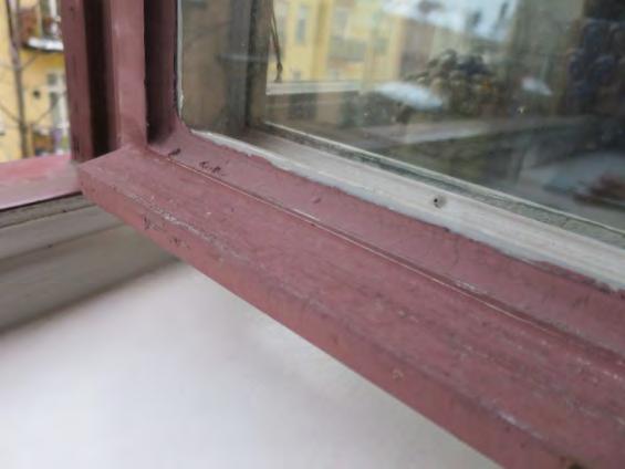 Målningsbehovet har gjort sig påmind på samtliga fönster i föreningens två