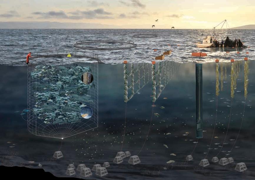 Testanläggning i havet skall erbjuda
