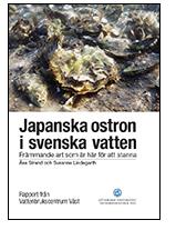 det är