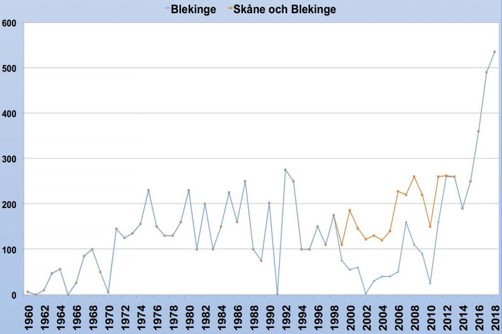 Diagram 1. Den kentska tärnans utveckling i Blekinge och Nordöstra Skåne 1960 2018. Under perioden 1999 2012 häckade kentska tärnor även strax innan för den skånska gränsen.