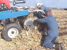 To Chop or Not to Chop Upright stalks: Helps with water infiltration Dries out faster Plant between 30 rows Don t drive combine on the