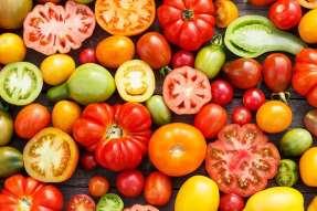 Sommar Rikedomens tid Juli, Augusti, September Nu finns allt tomater, gurka och squash, färska ärter och bönor, broccoli och blomkål, späda rotfrukter och stor variation av bladgrönt.