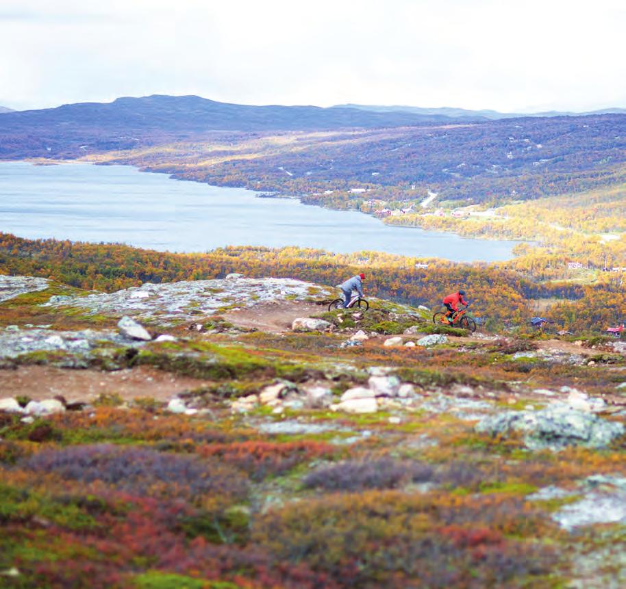0684-155 00 tanndalen.com Gratis liftåkning & fika!