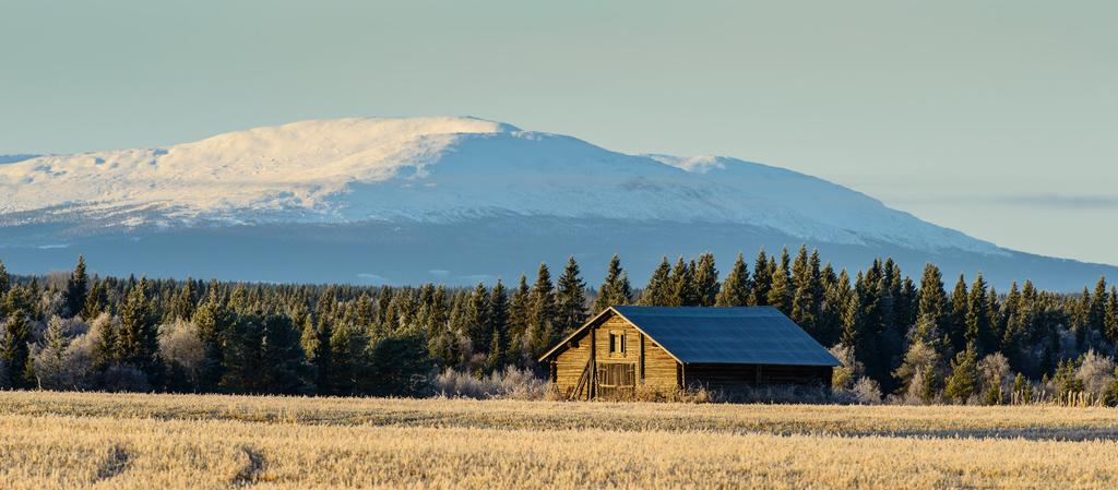 Jämtlands län Rådgivning