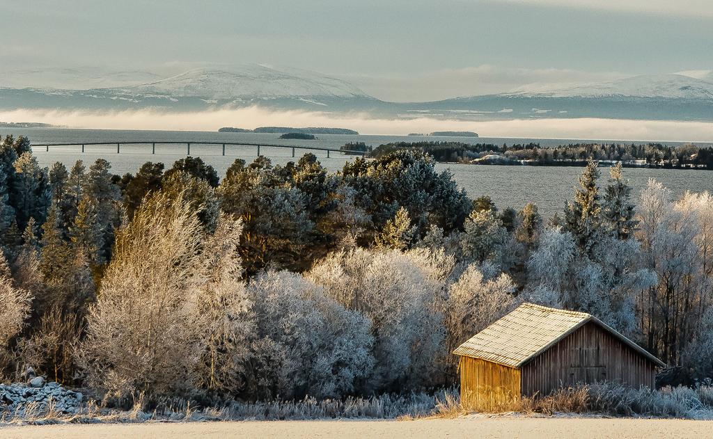 Kurs affärsutveckling Väx med ditt företag Kursen är uppdelad i två delar och det är valfritt om du vill gå en eller flera delar.