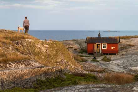 SENSOMMAR PÅ MYGGSKÄR MYGGSKÄR N 58 59'29.1 E 18 35'57.0 Fjärdlång Fågelskyddsområde tillträde förbjudet 1.2 15.