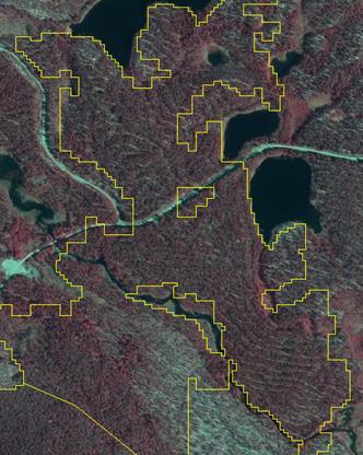Figur 10. Ej k-skog vid ån Voxnan i Jämtland. Aktuell respektive historisk ortofoto. 3.1.2 Areal och antal ytor per tolkad klass Resultatet visar att en visuell tolkning innebär en precisering av vad som är kontinuitetsskog.