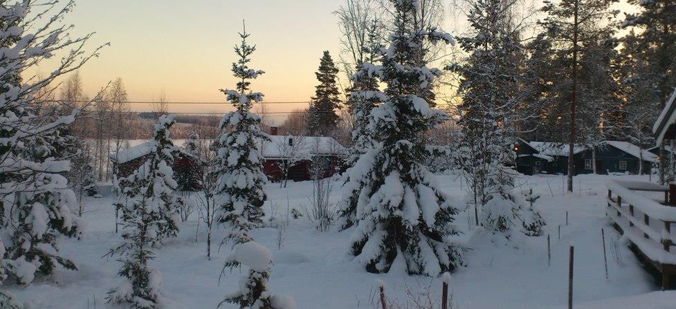 Säkerhetsfrågor Såvitt bekant för styrelsen har vi, med få undantag, varit tämligen förskonade från inbrott.