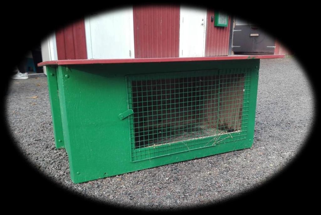 HYRA KANIN PÅ ÅRSTA 4H Kostnad: 500:- / vecka Ingår i Hyrpaket-Mellan Hyra av 2st kaniner Mindre bur (120x60cm) 6st kompostgaller Hö under kaninernas
