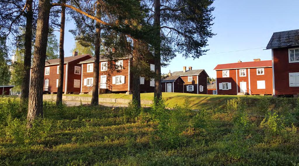 UPPLEV Använd sommaren till att se och uppleva bygden, oavsett om du bor här eller besöker Älvsbyn.
