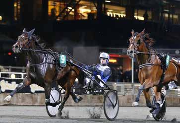 MÅNADENS HÄST Gävletravet november 2018 ACTIVATED Vi gratulerar med segertäcke och hederspris Sto 3 år e. Jocose Marelle e.