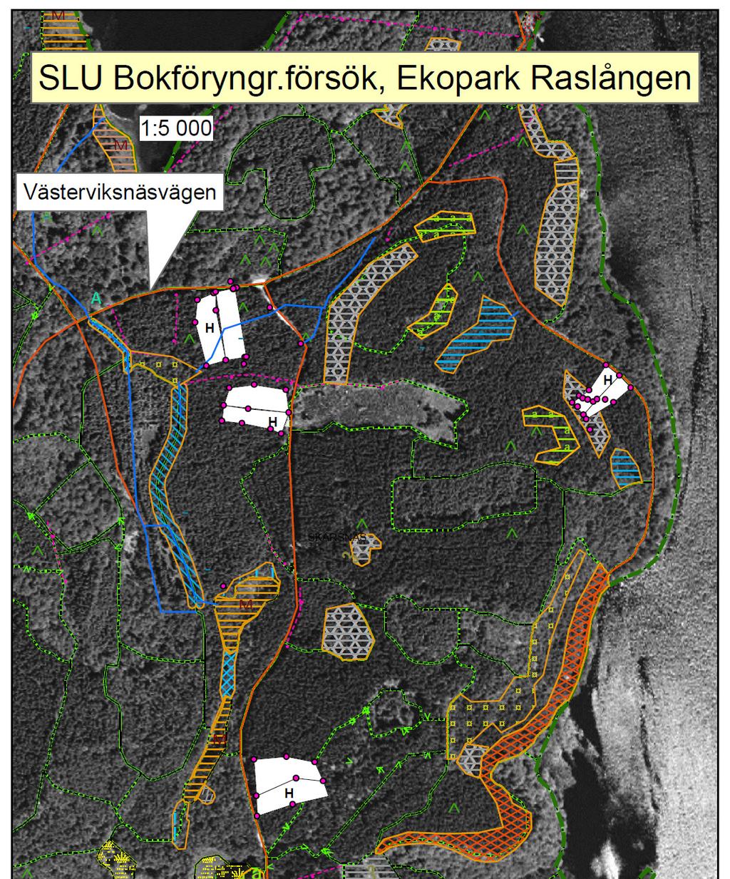 Överföring av granskog till bokskog betydelse av hägn, skötsel och avstånd till lövskog för föryngring och biologisk mångfald Projektledare: Magnus Löf, Institutionen för sydsvensk skogsvetenskap,