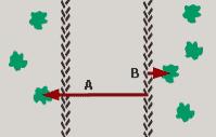 Figur 3. Schematisk bild över en stickväg och hur mätning av stickvägsbredden utfördes; längden på A plus B ger stickvägens bredd Figure 3.