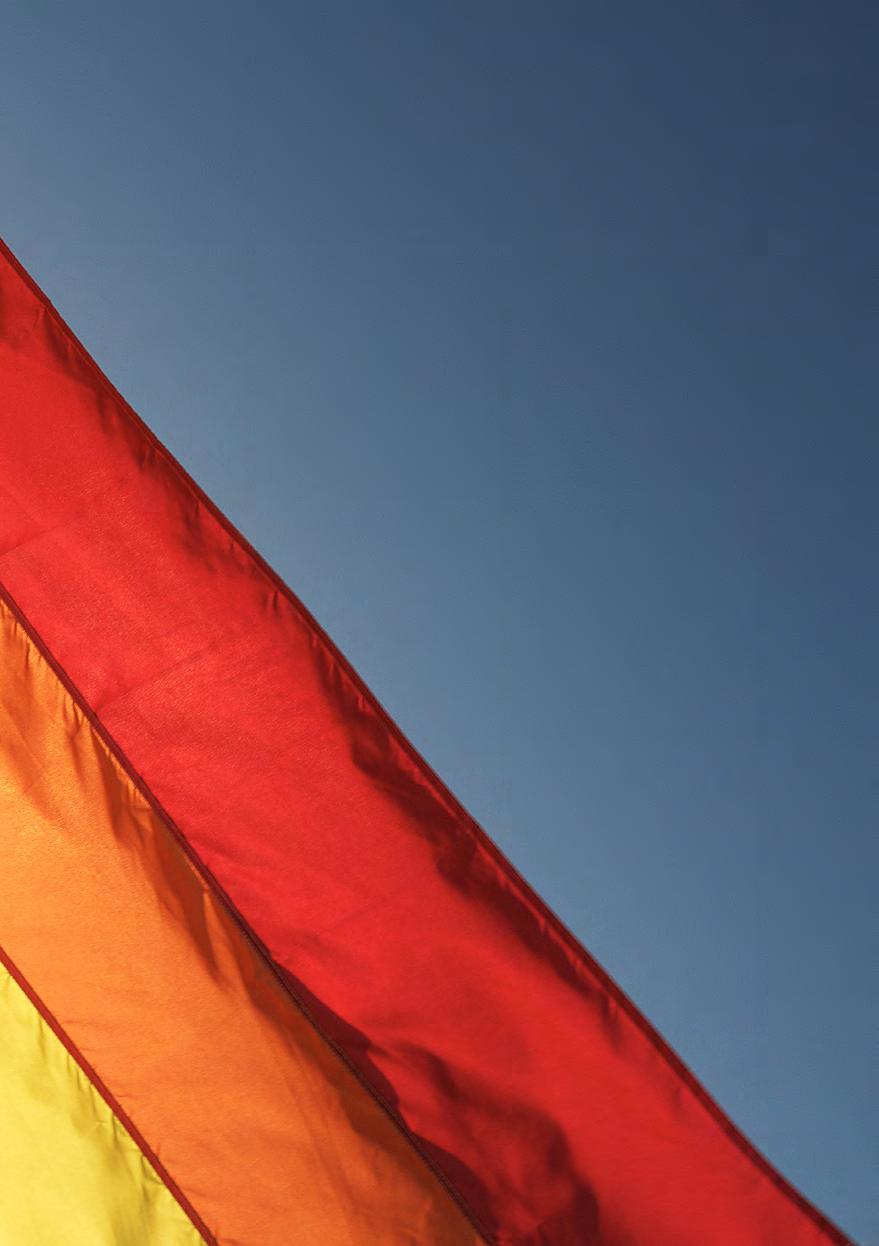 Lärarnas Riksförbund är det akademiska förbundet som enbart organiserar behöriga lärare och studie- och yrkesvägledare.