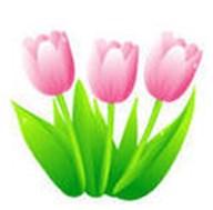 Kontaktuppgifter / Yhteystiedot: Pastorskansli / Kirkkoherranvirasto 050-462 9575 Öppet ti-to 10-13 / avoinna ti-to 10-13 Öppet 24.6-4.8; on 10-13 / avoinna 24.6-4.8, ke 10-13 e-mail /sähköposti: malax.