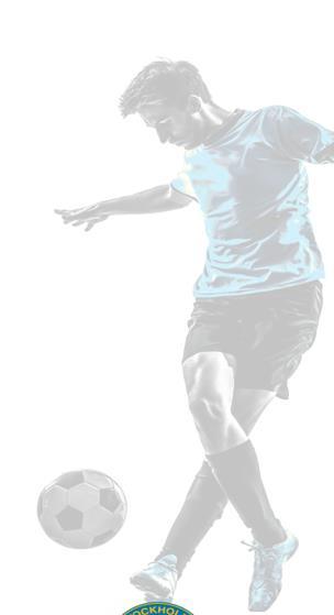 I vårt eget land njuter 90 procent av sin fotboll när de får gå ut på en jämn och fin konstgräsplan istället för på grus eller dåliga gräsplaner.