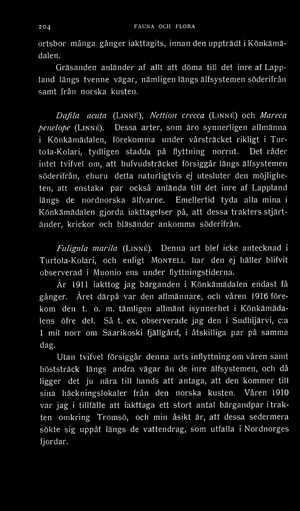 Det råder intet tvifvel om, att hufvudsträcket försiggår längs älfsystemen söderifrån, ehuru detta naturligtvis ej utesluter den möjligheten, att enstaka par också anlända till det inre af Lappland