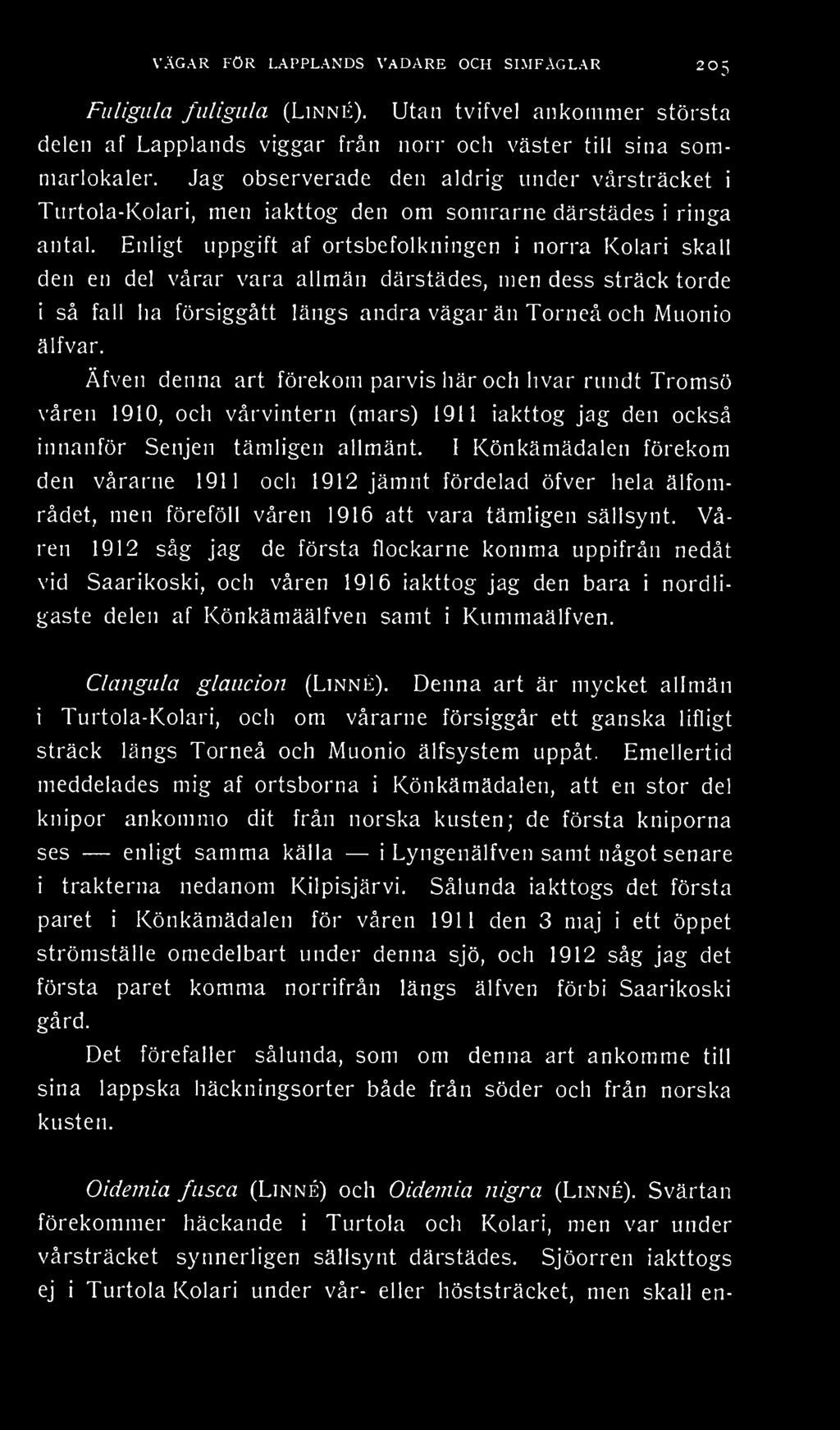 Enligt uppgift af ortsbefolkningen i norra Kolari skall den en del vårar vara allmän därstädes, men dess sträck torde i så fall ha försiggått längs andra vägar än Torneå och Muonio älfvar.