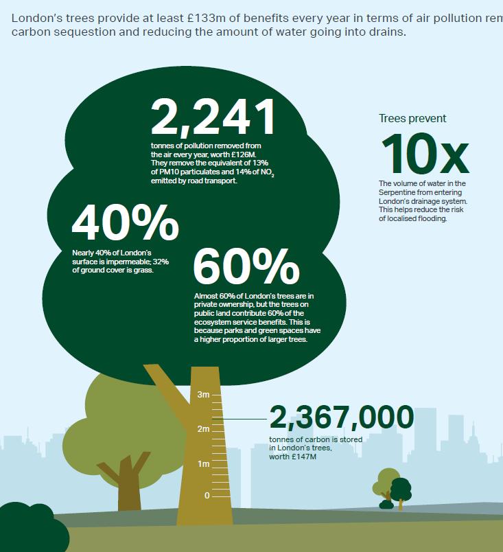 London trees => Sparar 133m /år tack vare: Mindre luftföroreningar CO2