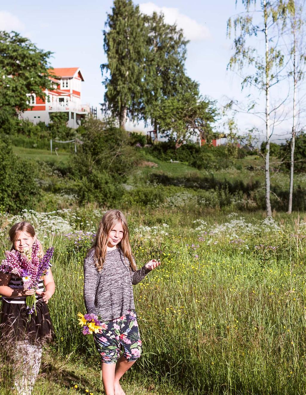 Utredningshem för