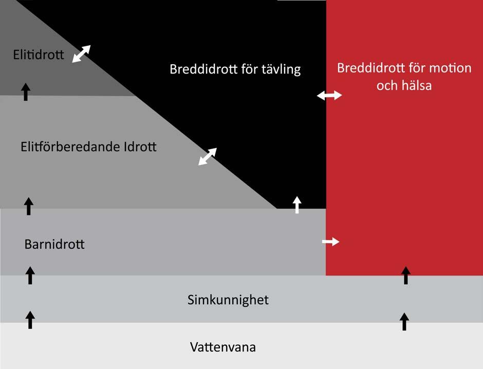 SS04 REKTANGELN Vi vill att det ska finnas plats för alla oavsett ålder, förutsättningar och ambitionsnivå. SS04 vill driva all typ av simverksamhet som våra anläggningar tillåter.