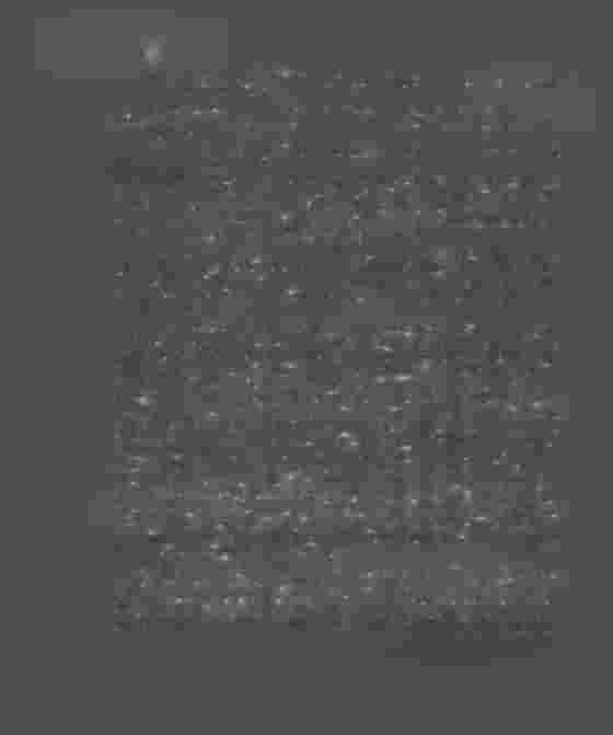 118 73:o af deri 14 maj, angående regleringen af utgifterna under riksstadens första hufvudtitel. (62.) Vid föredragning den 31 maj af berörda skrifvelse har Kong!