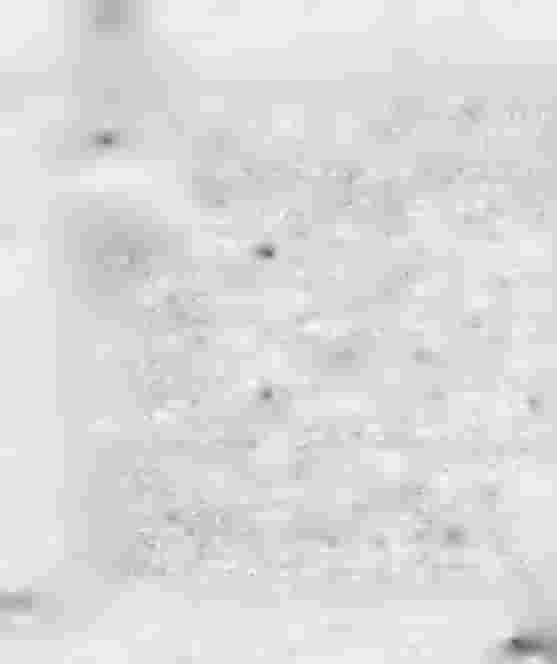 . H>U- iiv.tii inne c-' 1 i u I 1 kd* - fi, v,u. ii \ I ' 1 fr i!,it':s.! '!'. v '.fy!*»i-v Uuii U n lull > H,<. 11 ''rrfejerf! lull/: ;!1> J.i! :.
