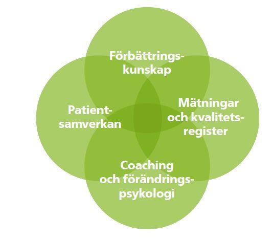 3/6 Kursdag 4: Coaching och patientsamverkan. Motivation och gruppdynamik samt fördjupning inom patientsamverkan.