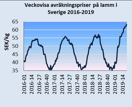 Det genomsnittliga avräkningspriset för slaktkroppar av tunga lamm (mer än 13 kg) inom EU har gått ner de senaste veckorna.