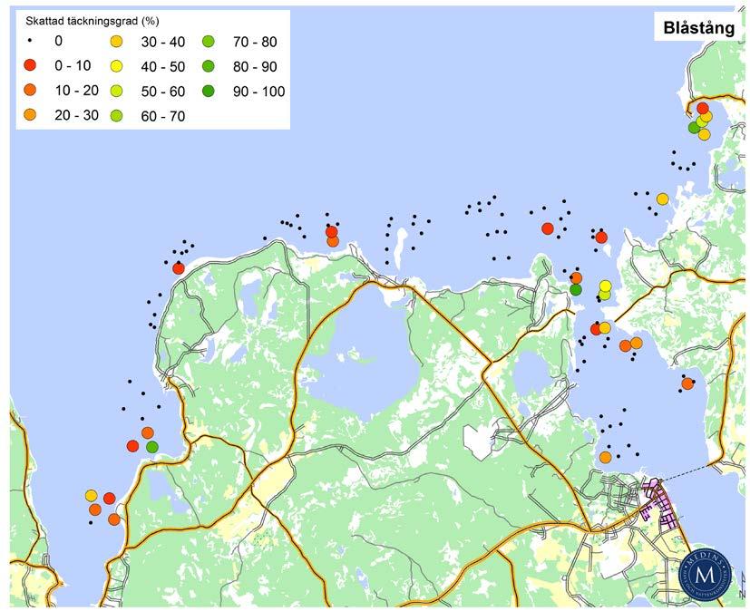 Figur 10. Fyndkarta över noterade täckningsgrader av blåstång (Fucus vesiculosus). Karteringar längs Gotlands nordvästra kust 2017. 4.