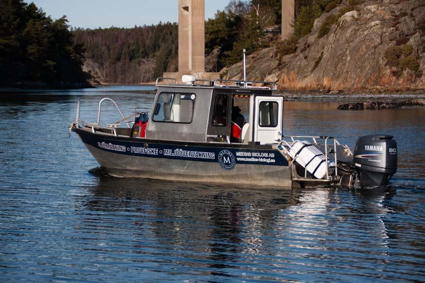 4.4.2 Blåmusslor I den norra och mest exponerade delen av undersökningsområdet i delområde 2 till 11 samt 21 till 22, dominerades bottnarna av blåmusslor (Figur 1 och Figur 11).