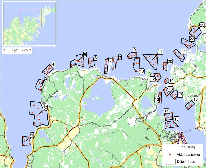 2. Inledning På uppdrag av länsstyrelsen i Gotland har Medins Havs och Vattenkonsulter AB genomfört dropvideokarteringar av havsbottnar belägna inom 23 utvalda delområden.