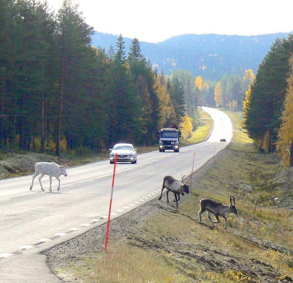 avseende på behov av stängsel