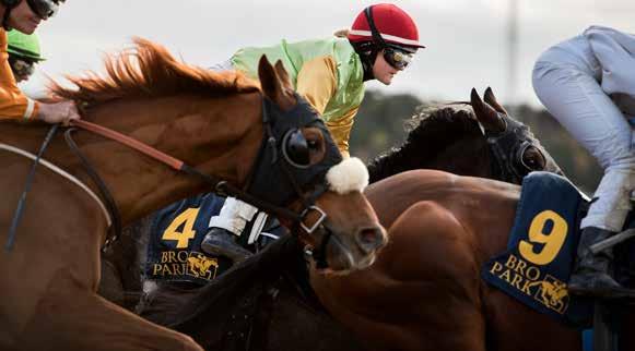 BRO PARK Tävlingarna arrangeras av Svensk Galopp www.svenskgalopp.se e-post info@svenskgalopp.