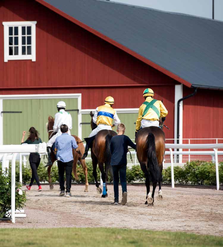 Dagens program 11.00 Grindarna öppnas 11.25 Kvallöpning 1 11.50 Kvallöpning 2 12.00 Tipsgenomgång från ledvolten 12.20 Lopp 1, V4-1 BRONSHANDICAP 12.46 Lopp 2, V4-2 NOVISLÖPNING 13.