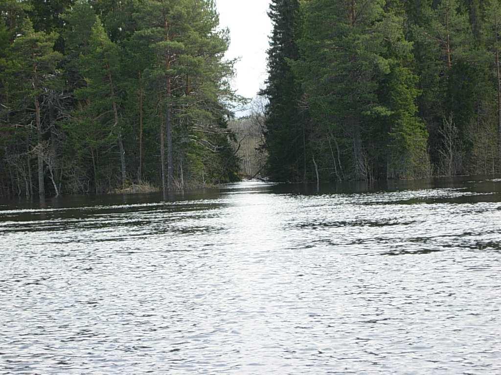Utvärdering av SMHIs hydrologiska prognos- och varningstjänst under