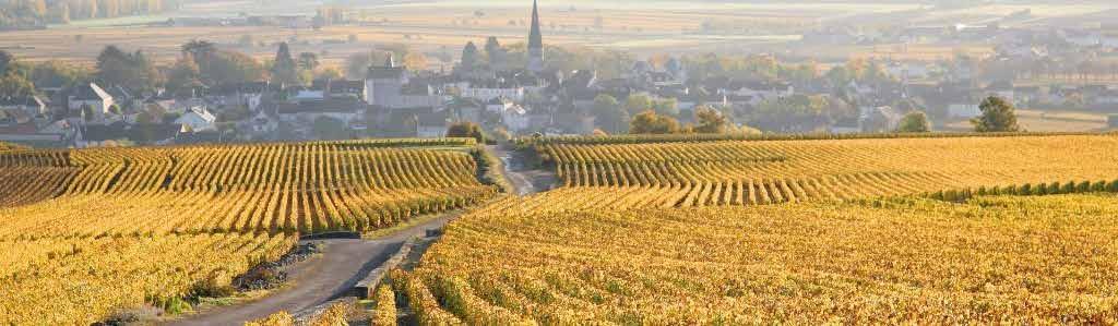 Levert Frères Bourgogne Chardonnay Vi lanserar ett nytt vin på beställningssortimentet, ett vitt vin från