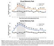 engaged processing during memory formation? Category-specific visual processing (cf. Jafarpour et al.