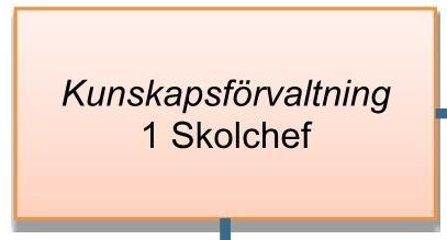 4.7 Skolformernas ledningsstruktur Efter genomgången av personalen och då framför allt den pedagogiska personalen och dess behörigheter är det lämpligt att även belysa förvaltningens ledningsstruktur.