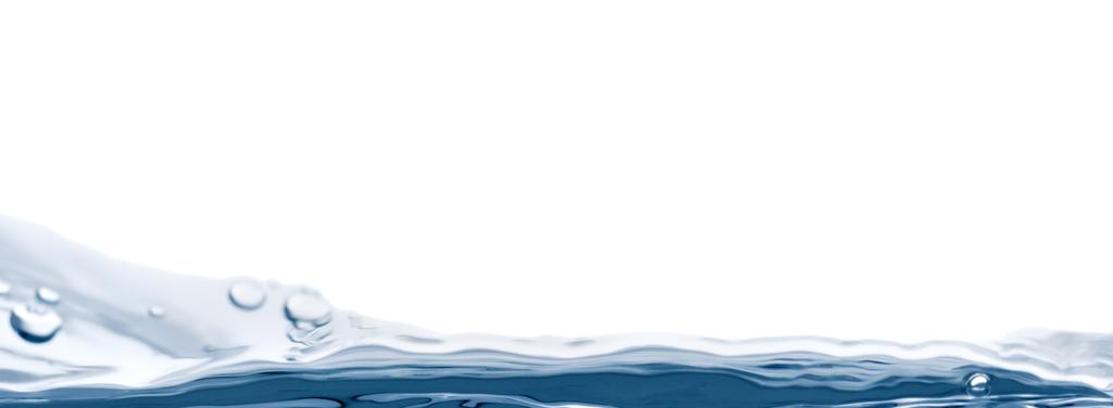 Organisation: Vänerns vattenvårdsförbund Projektet startades år: 2018 och kommer att fortsätta under 2019 inom arbetet med Vänerns vattenvårdsplans kampanj Inga ivasiva främmande arter till Vänern